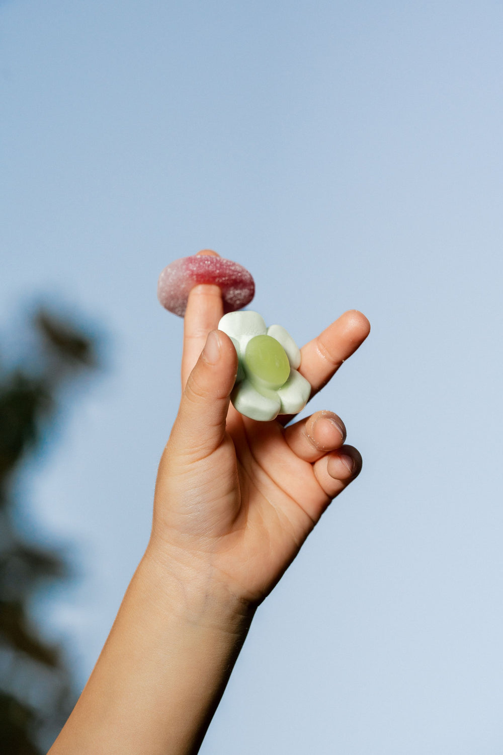 Make Every Gift a Memorable Experience with Sockerbit: